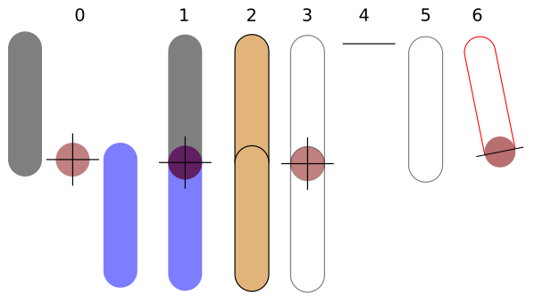 Crosshair-leg01.png