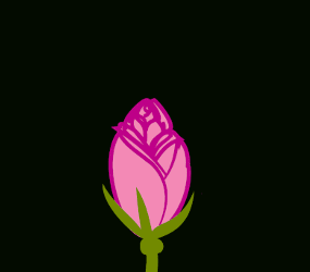 ../_images/Rose4b.gif